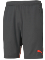 Short Puma Individual Cup Neymar Jr 2022 Adulto
